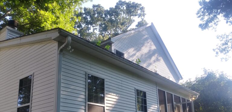 Before Gutter Cleaning